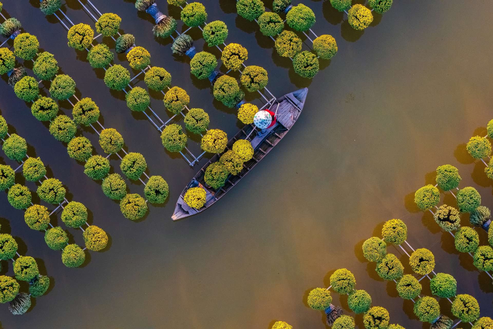 Vườn hoa Sa Đéc