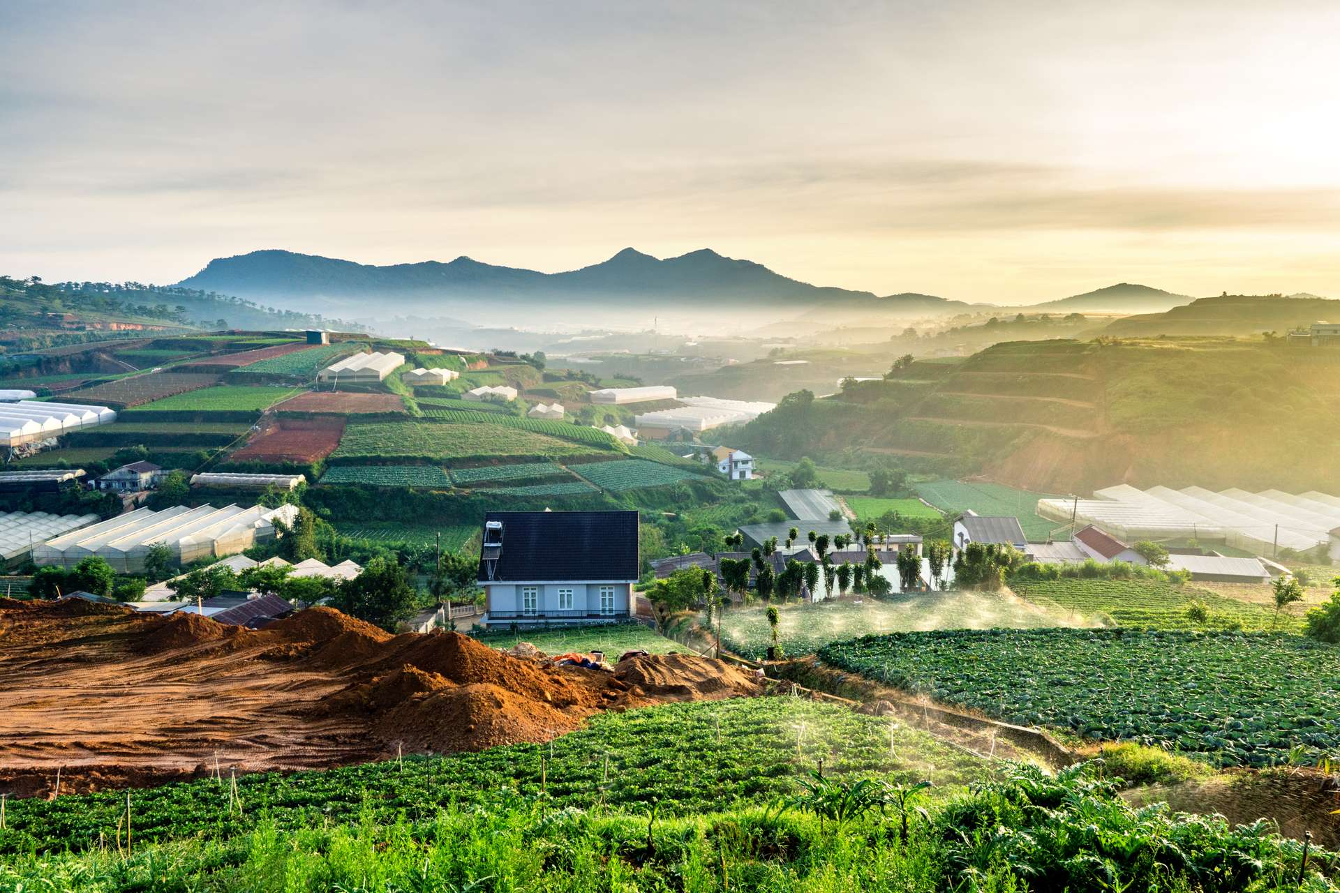 Một phần cao nguyên trồng rau tại Lâm Đồng