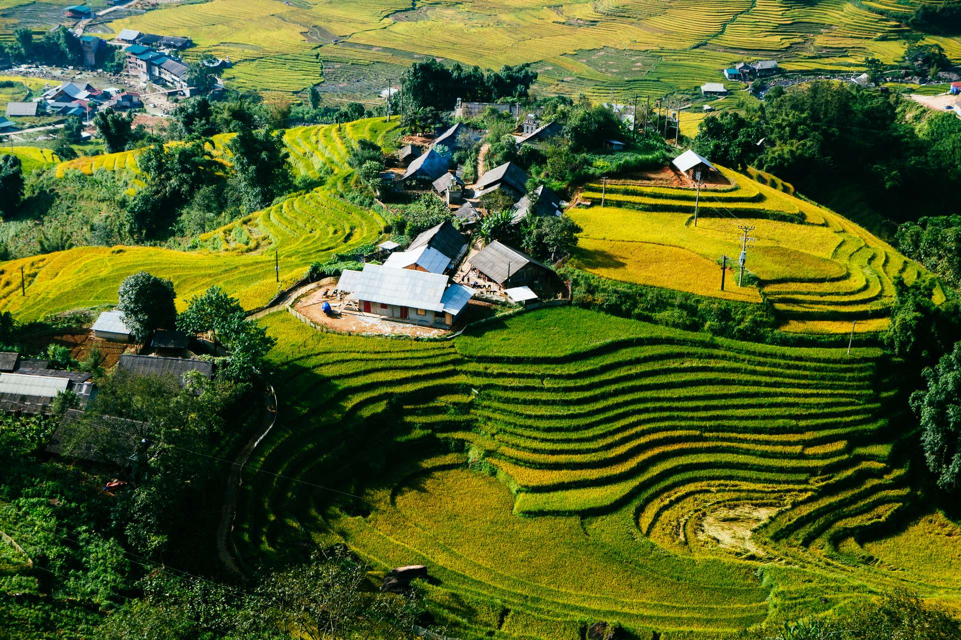 Ruộng bậc thang tại Lào Cai