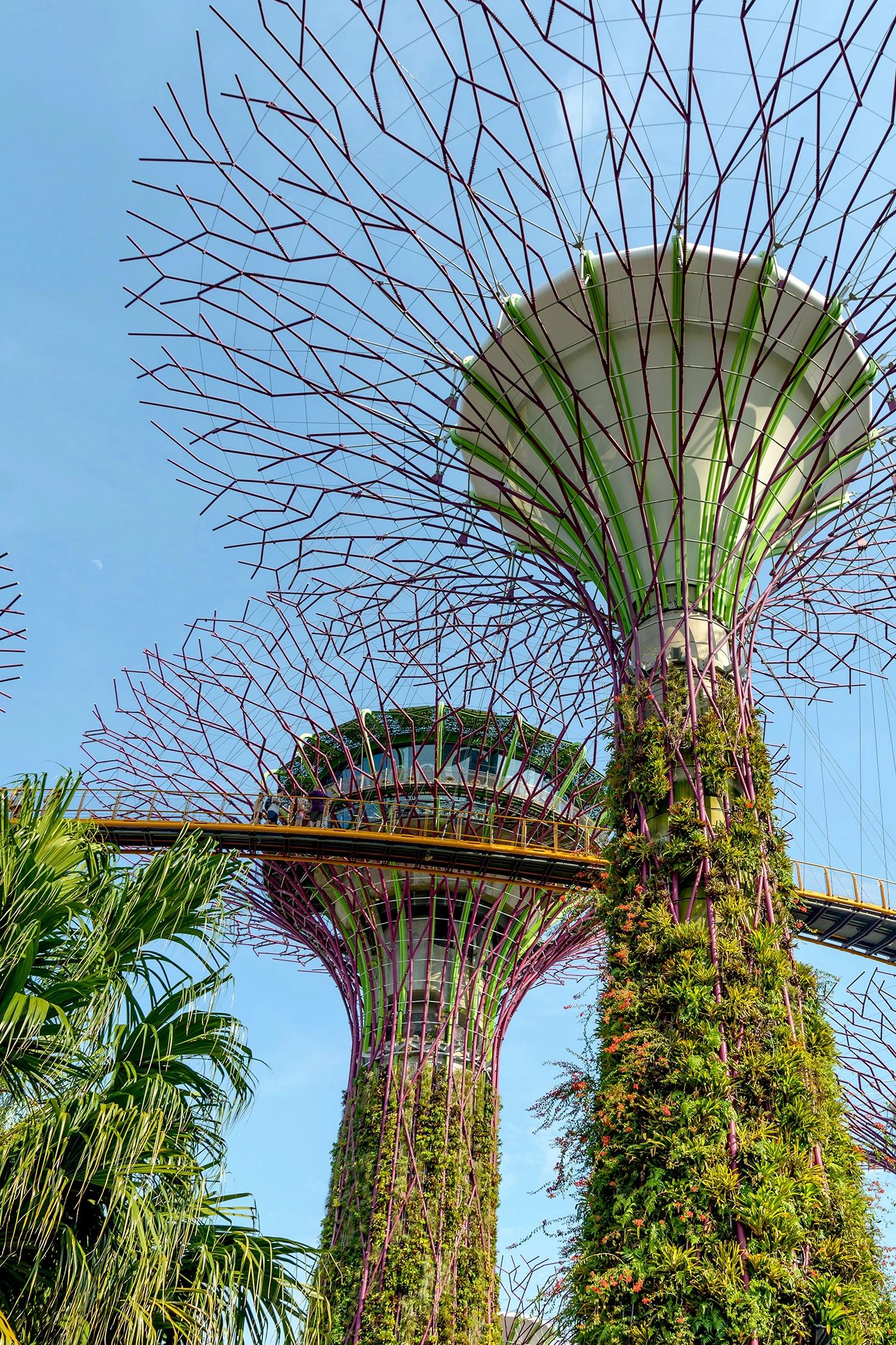 Kapal Pesiar dari Singapura
