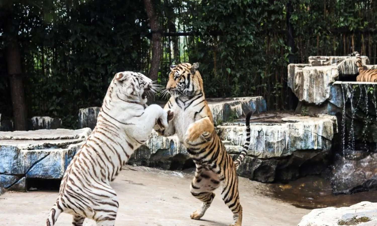 địa điểm vui chơi Tây Java