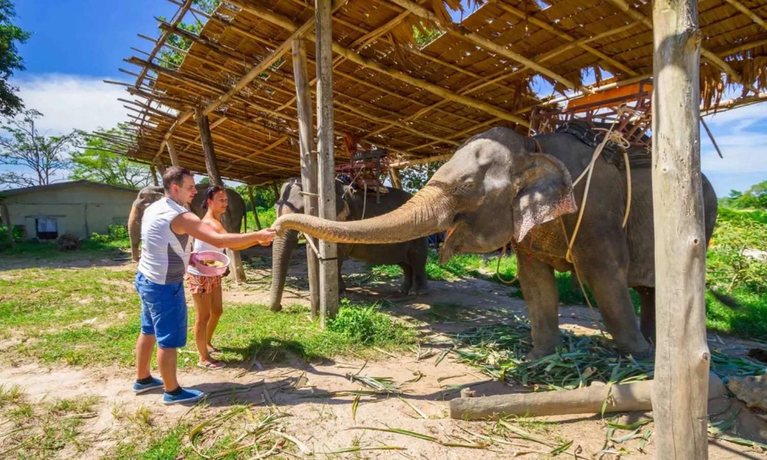 địa điểm vui chơi Surat Thani