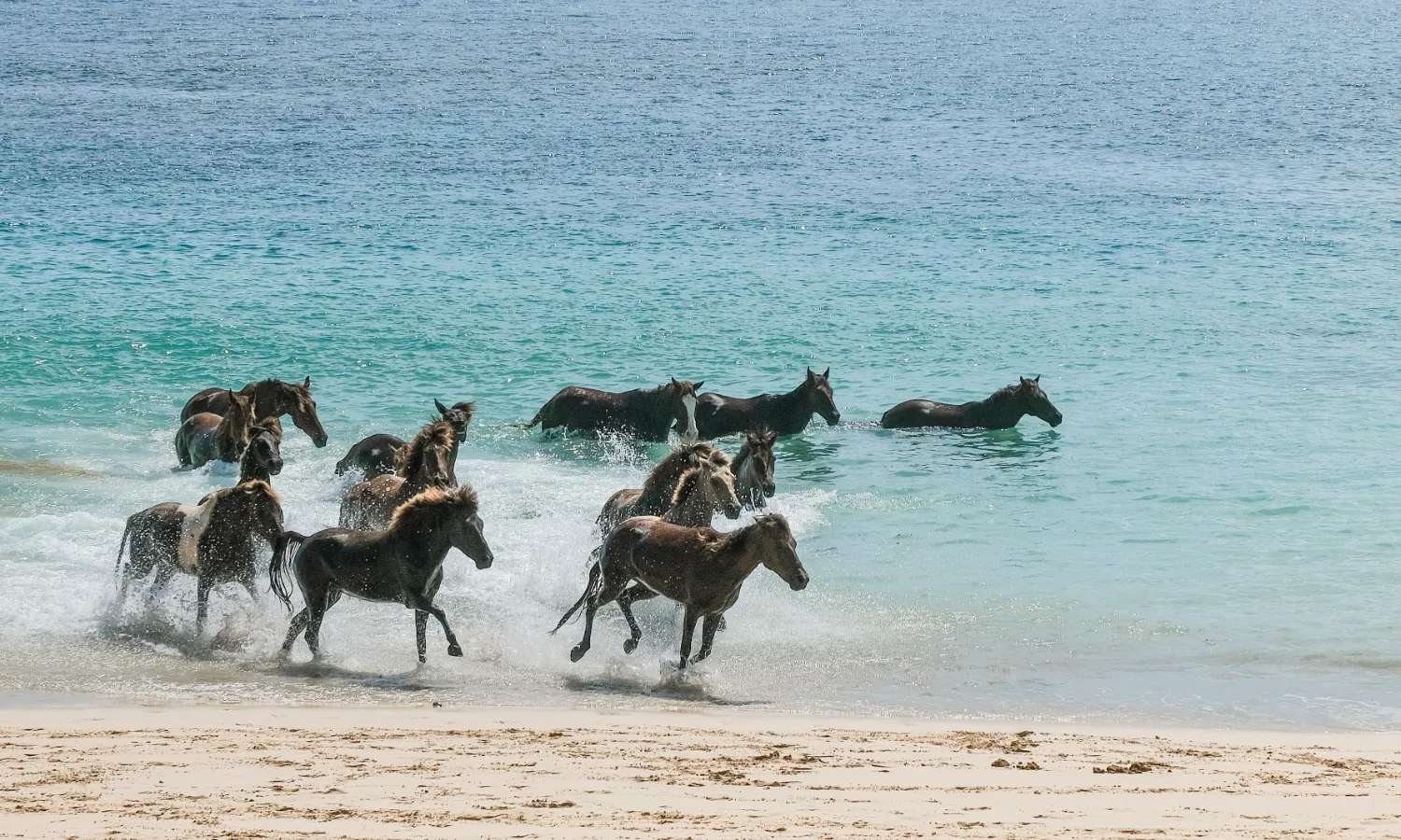 Tham gia lễ hội Pasola khi du lịch đảo Sumba tự túc