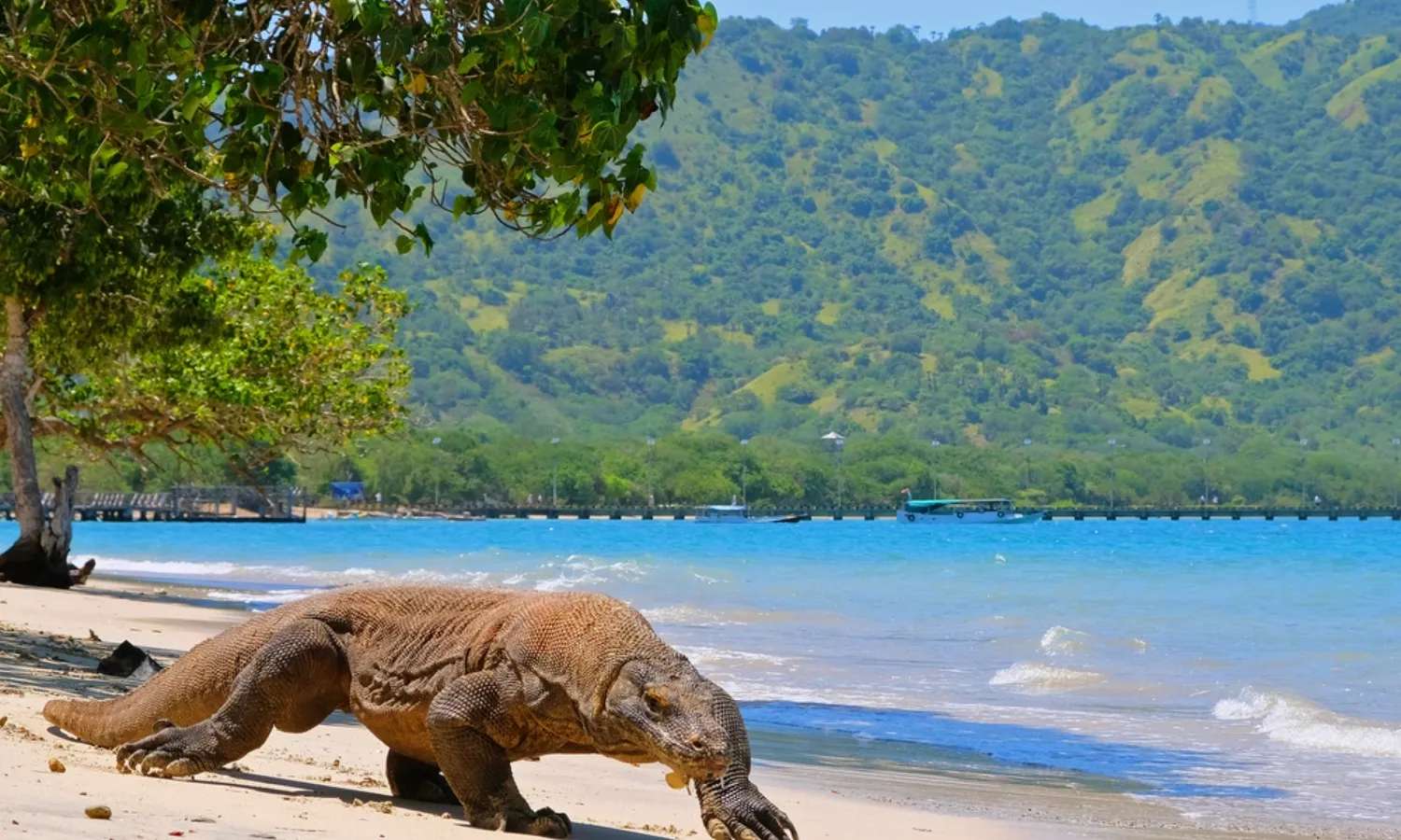 du lịch Đông Nusa Tenggara