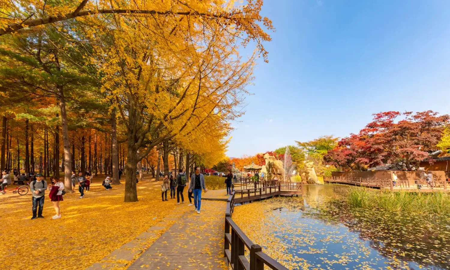 tour Hàn Quốc khám phá Đảo Nami