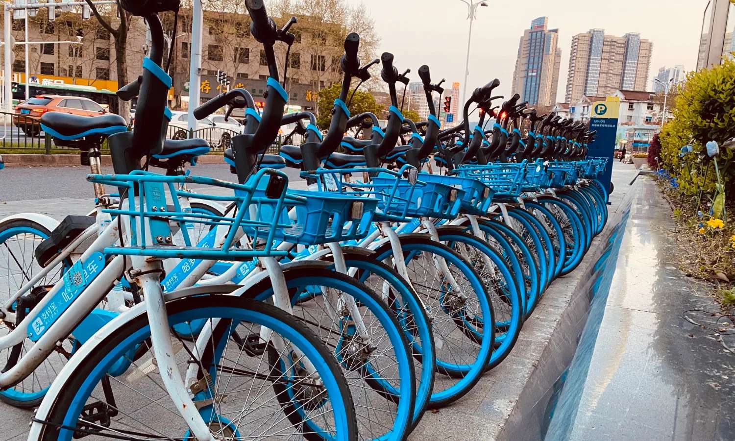 Di chuyển bằng xe đạp khi du lịch Giang Tô tự túc