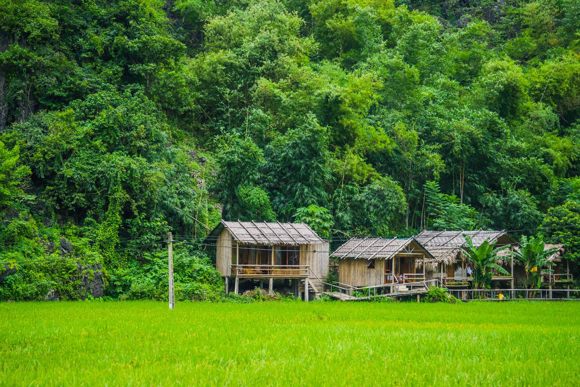 Mai Châu nổi tiếng là nơi có bức tranh thiên nhiên tuyệt đẹp