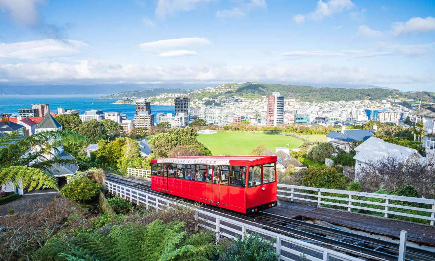 tour du lịch Wellington