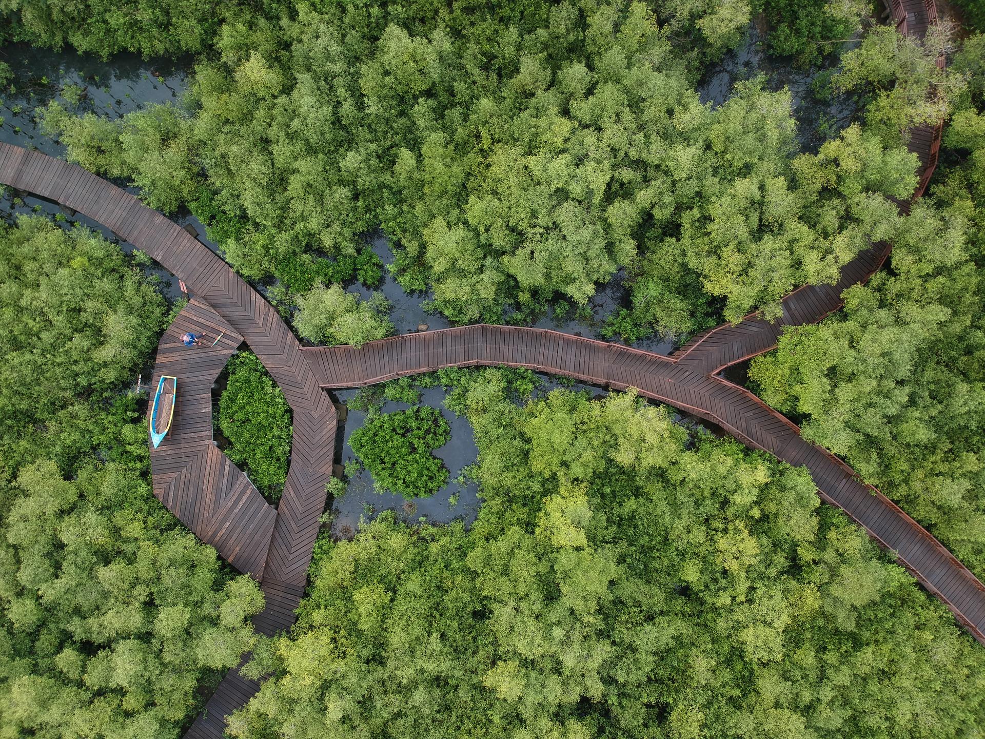Kebun Raya Mangrove Surabaya