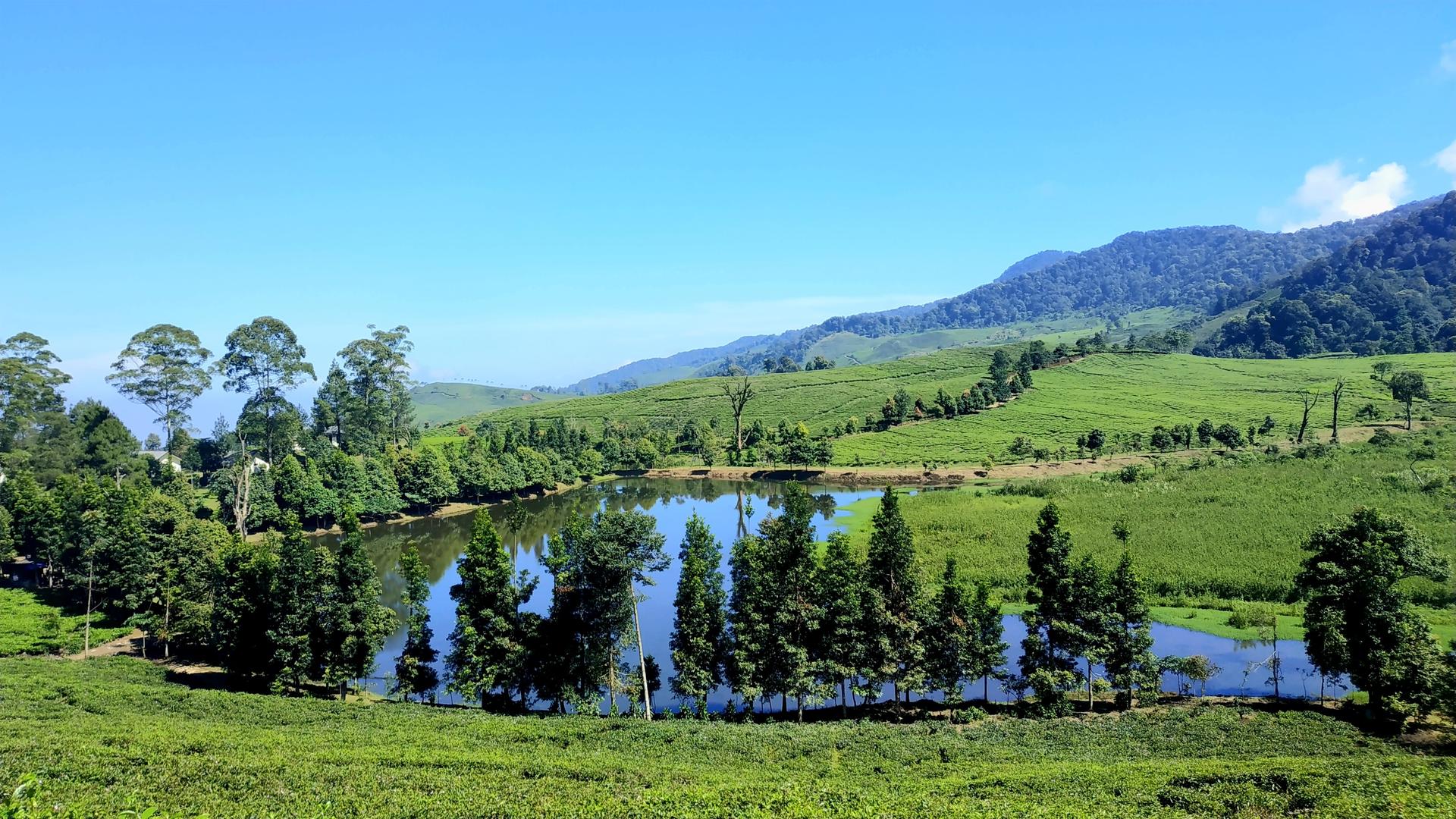 Puncak Bogor