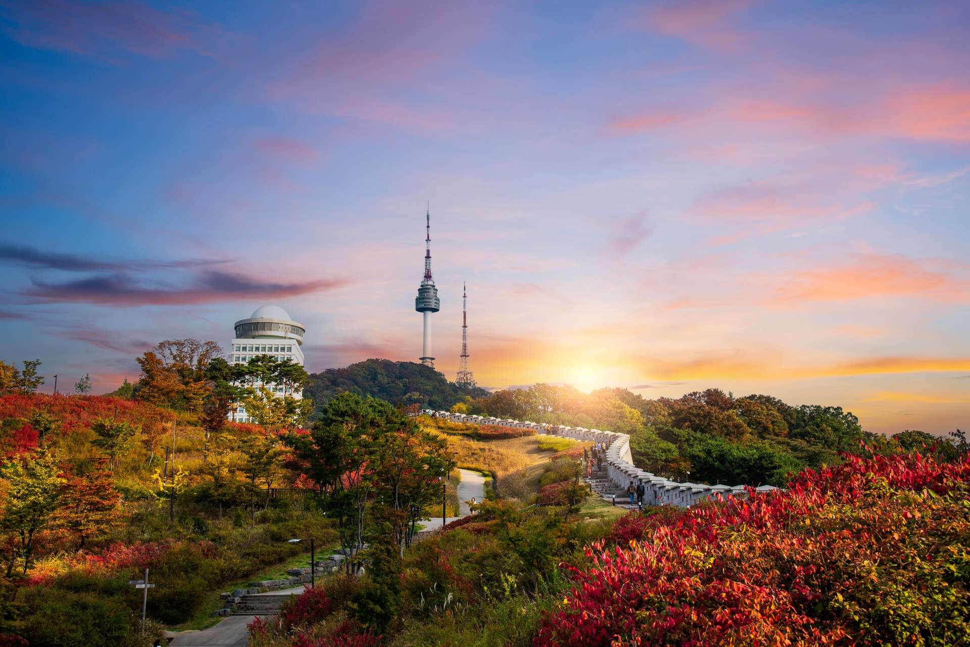 Menar Seoul