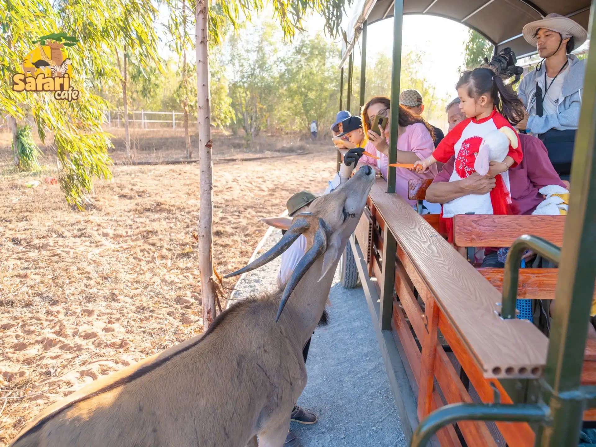 Safari Cafe Phan Thiết - Khách sạn Phan Thiết