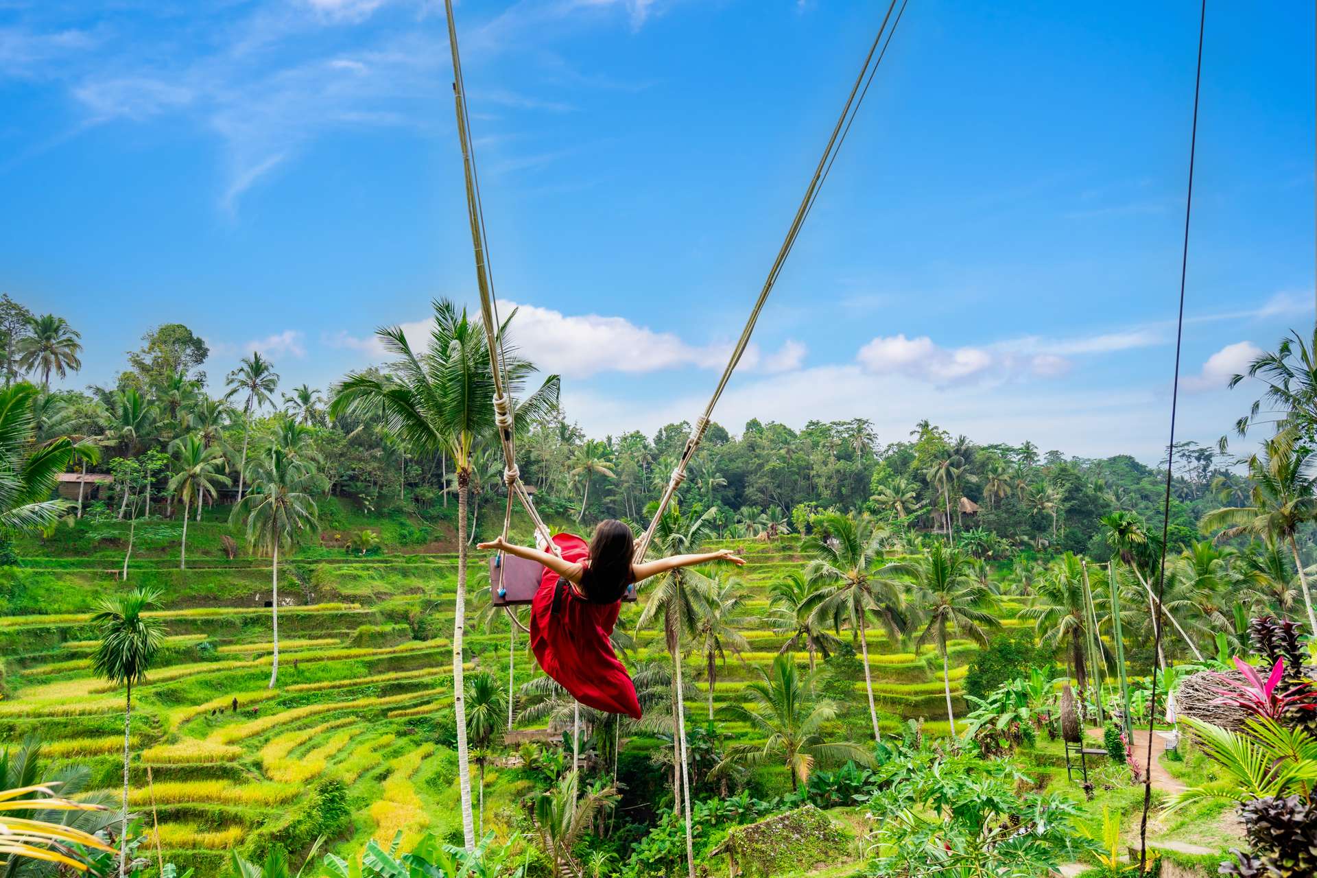 Bali swing at tegalalang Ubud