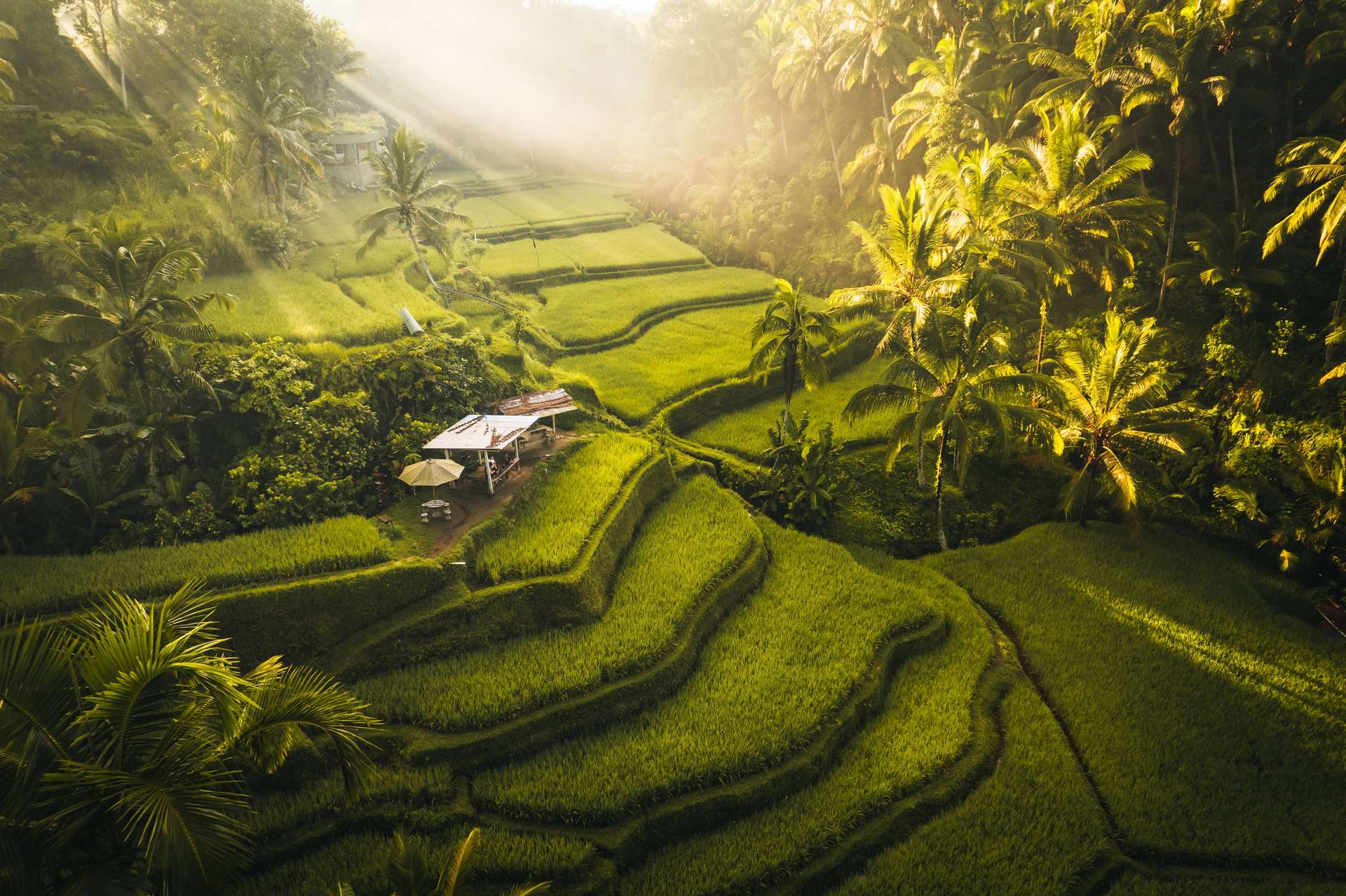 Tegallalang Ubud