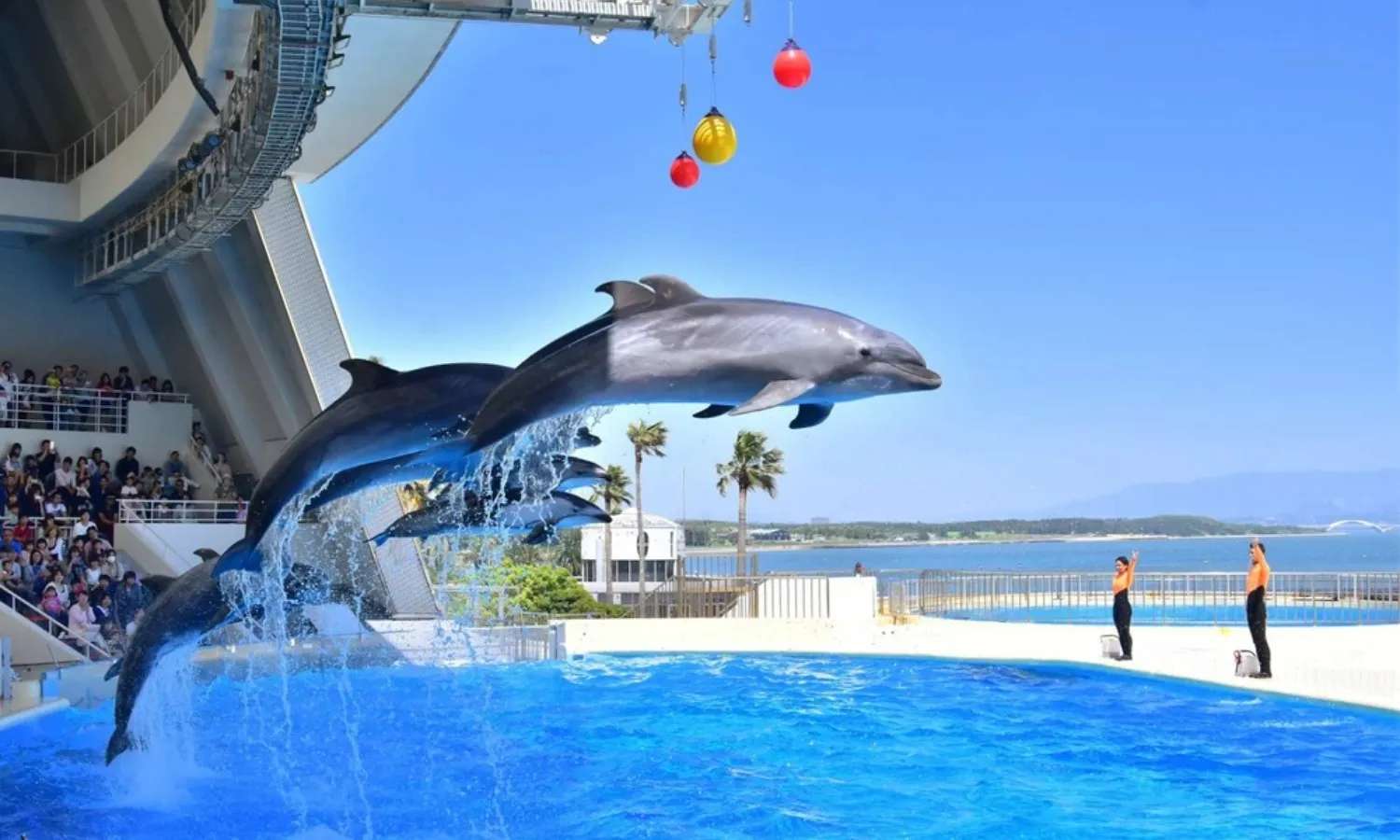 Marine World Uminonakamichi Fukuoka