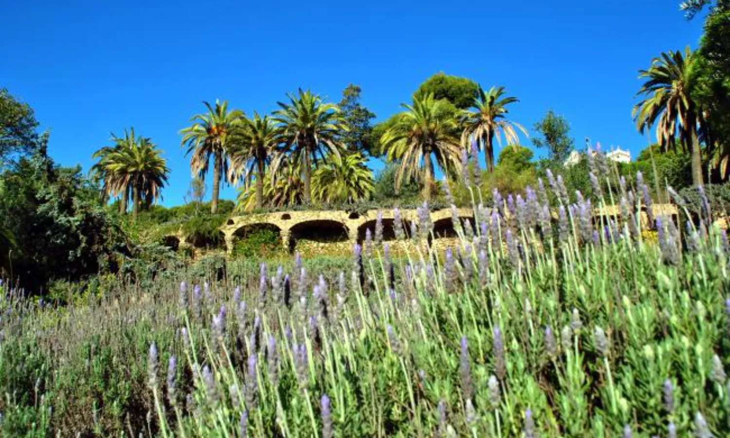 Không gian thư giãn tại Park Guell