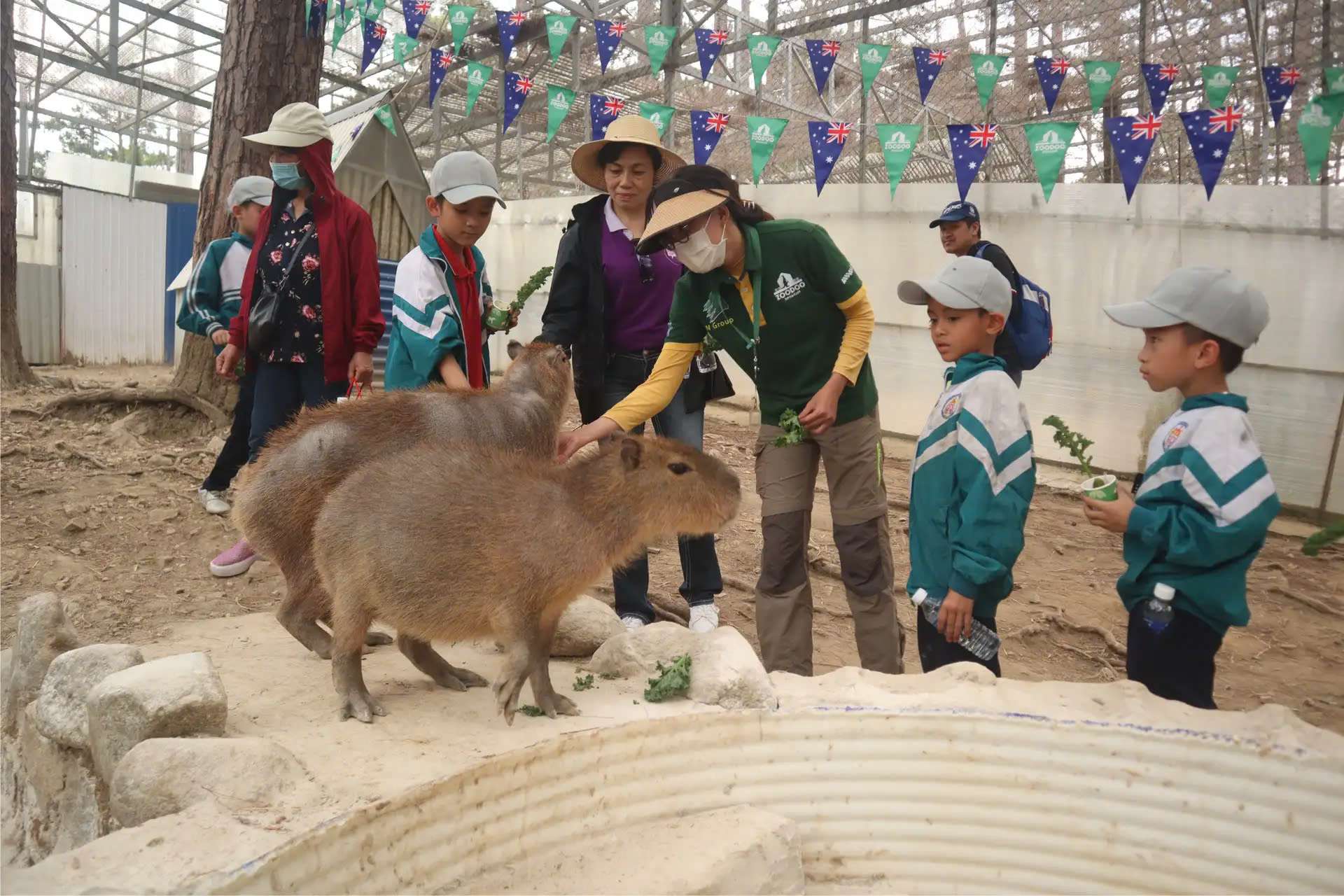 Vườn thú Zoodoo Đà Lạt - Khách sạn Đức Trọng