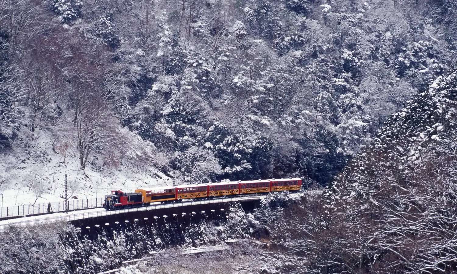 ngắm tuyết từ Sagano Romantic Train vào mùa đông