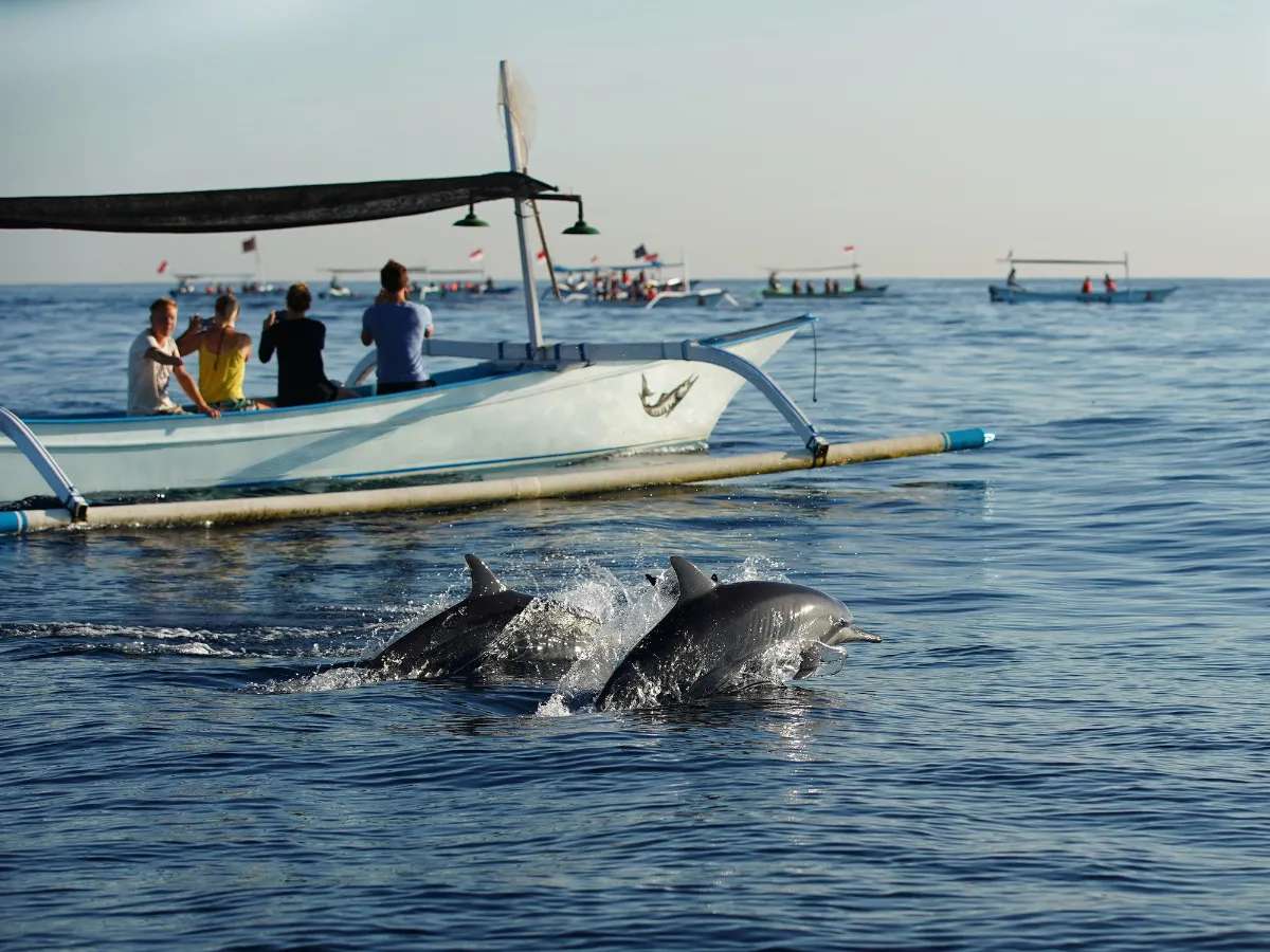 giá tour đảo Nusa Penida