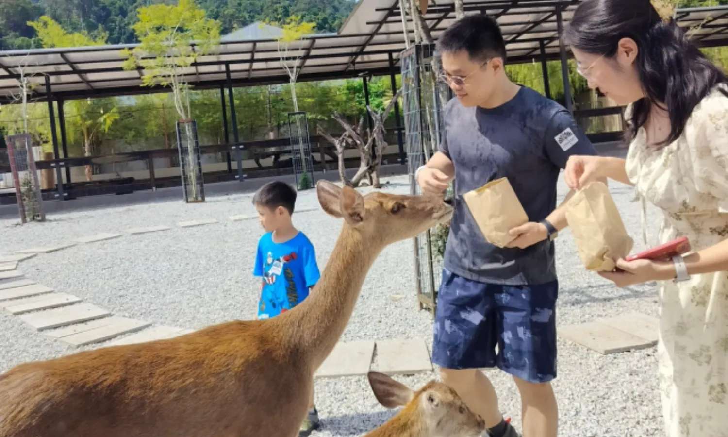 hoạt động tại Langkawi Wildlife Park
