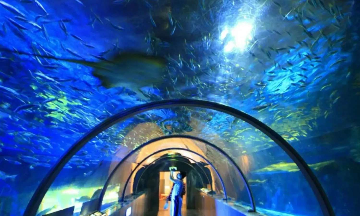 thuỷ cung Noboribetsu Marine Park Nixe