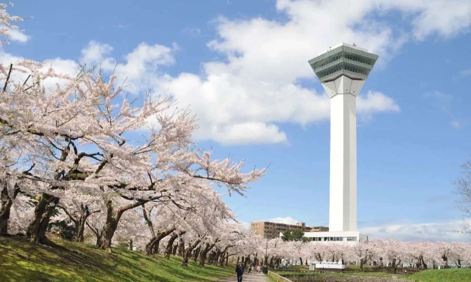 Goryokaku Tower