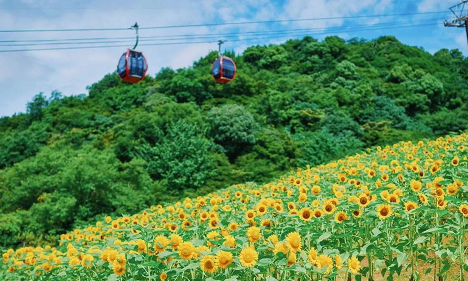 tham quan Kobe Nunobiki bằng thẻ Have Fun in Kansai Pass.