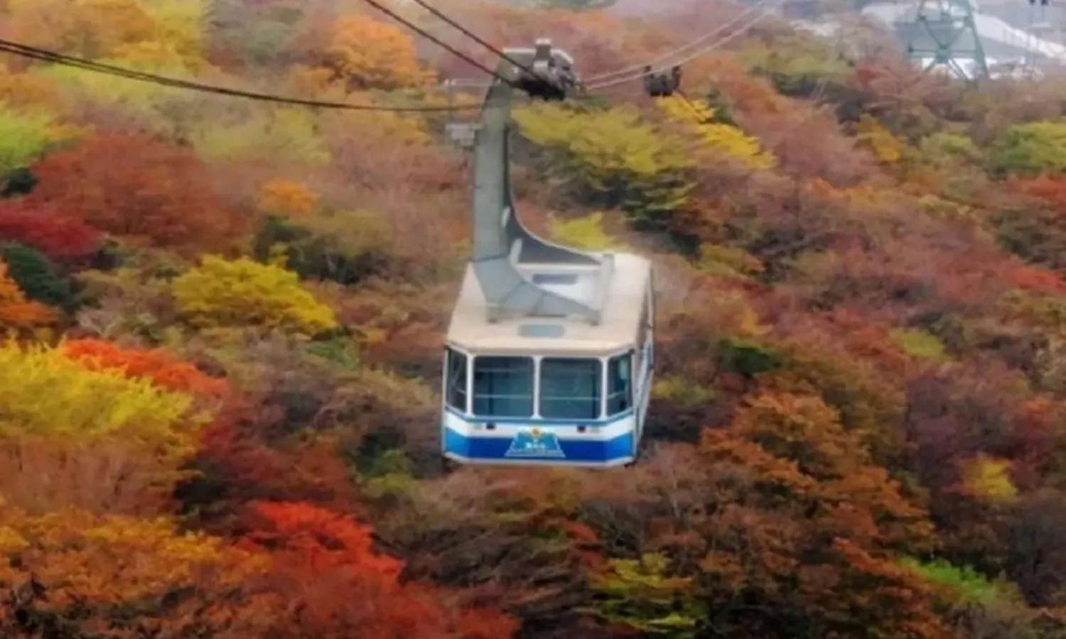 Ngắm Hakone từ cáp treo Komagatake