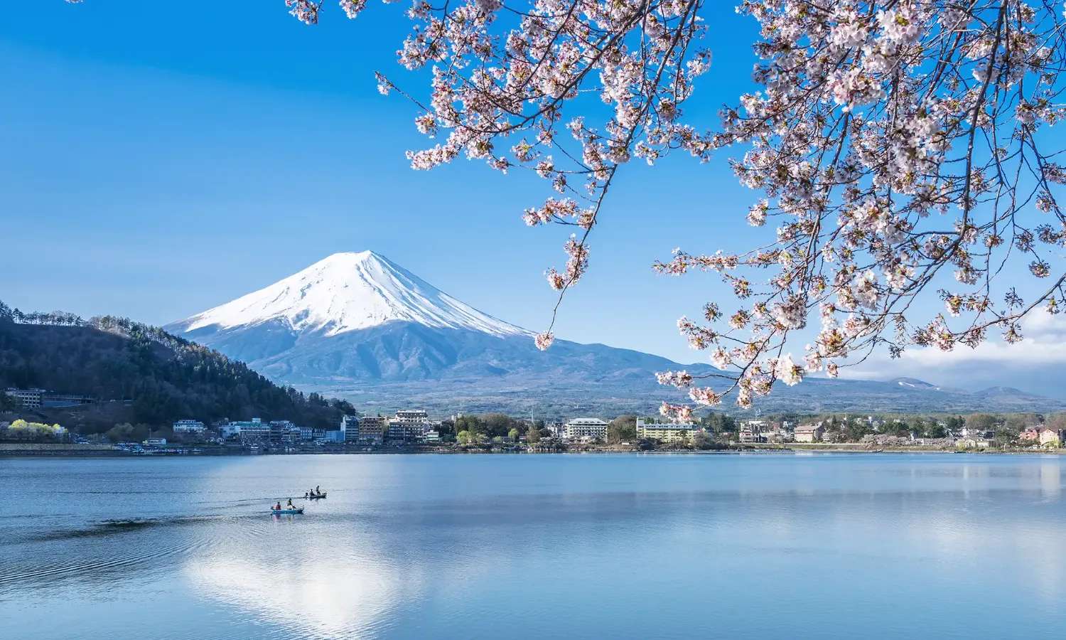 núi Phú Sĩ nhìn từ công viên Oishi