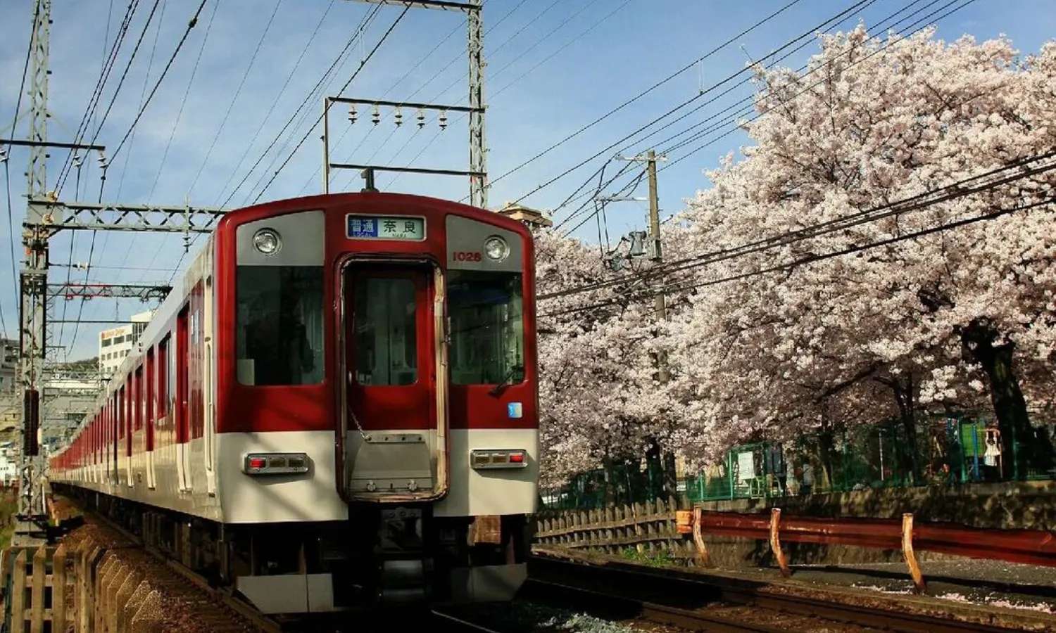 Đi tàu bằng Kintetsu Rail Pass