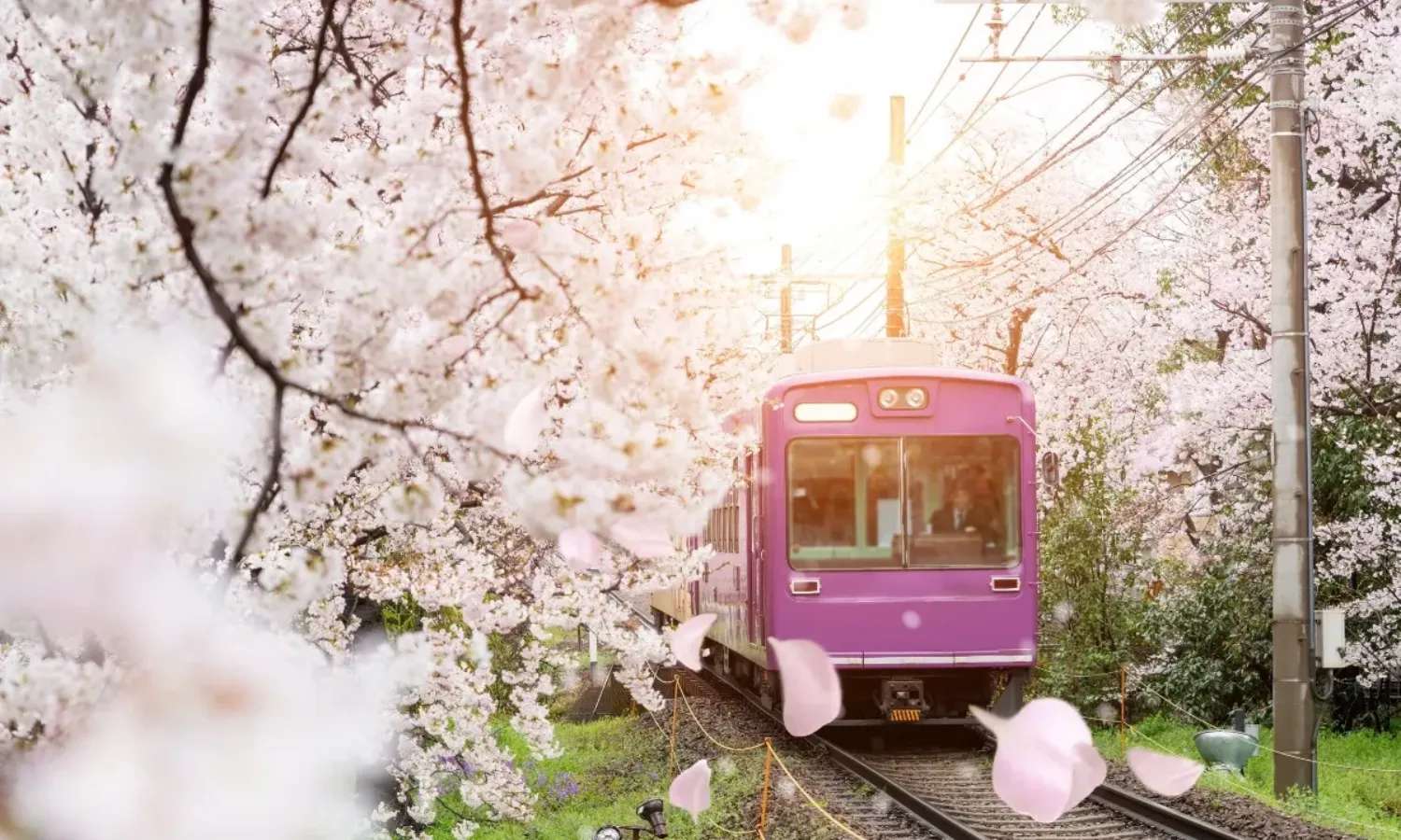 du lịch phía Tây Nhật Bản