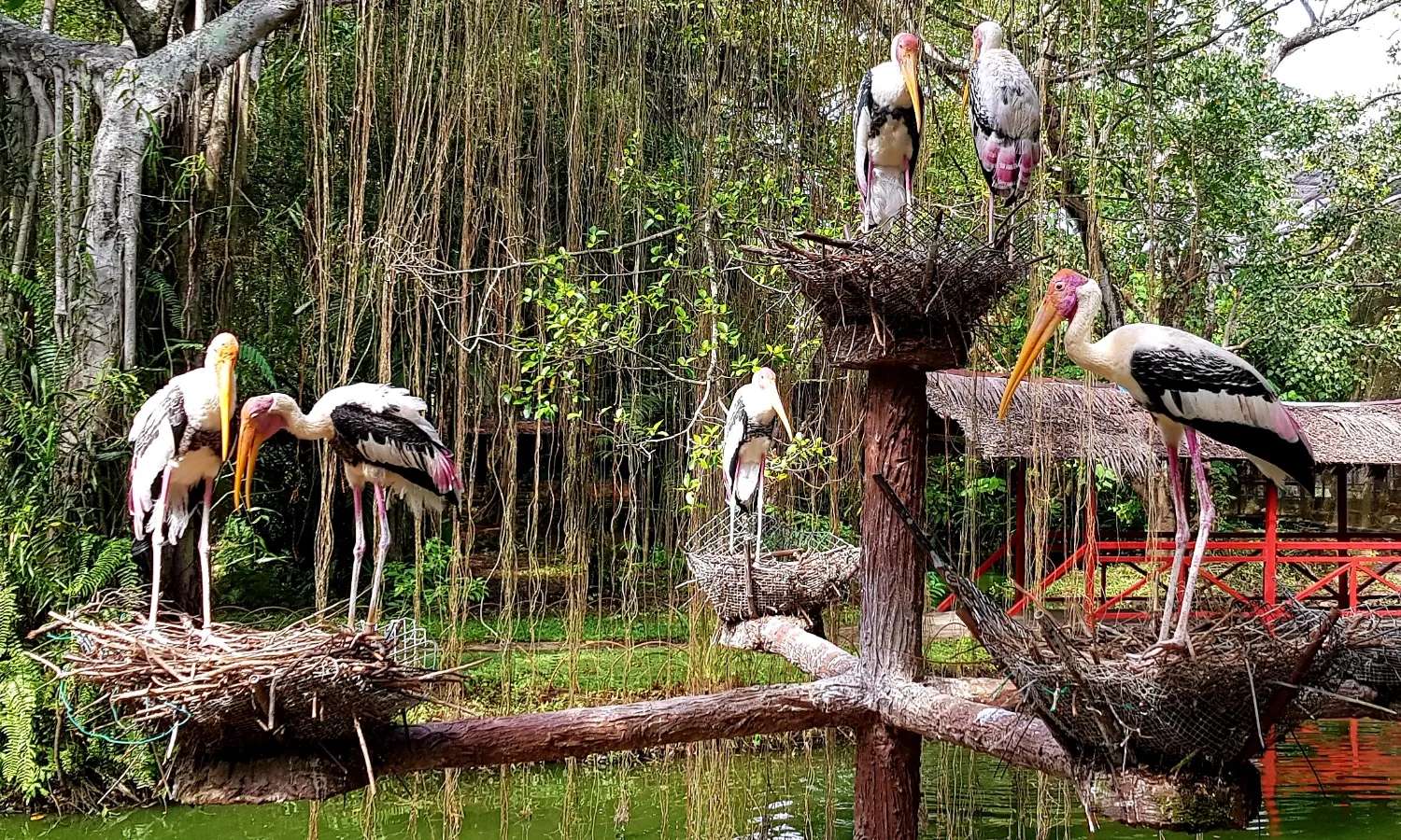 Penang Bird Park