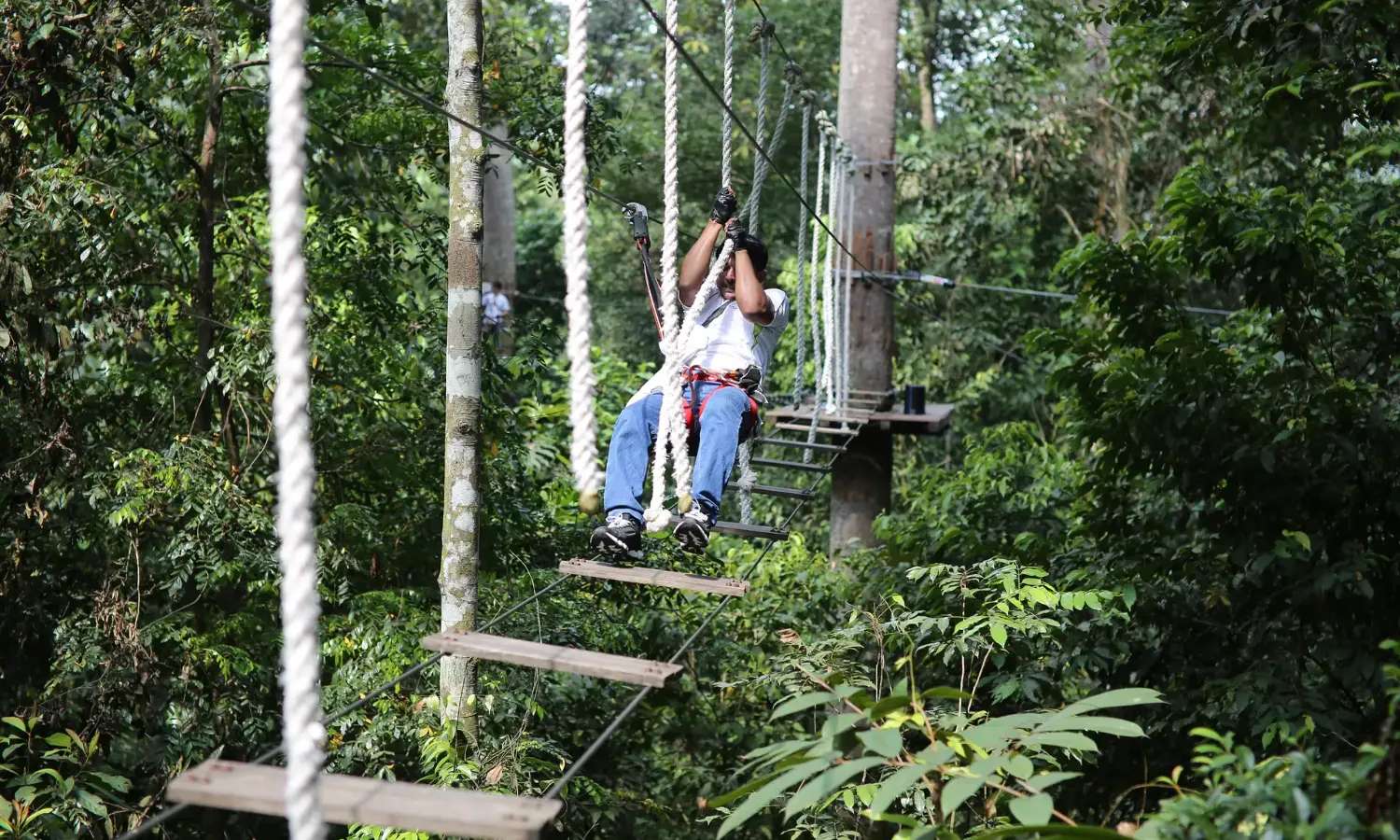 Skytrex Adventure Melaka mang đến trải nghiệm mạo hiểm giữa núi rừng Malaysia.