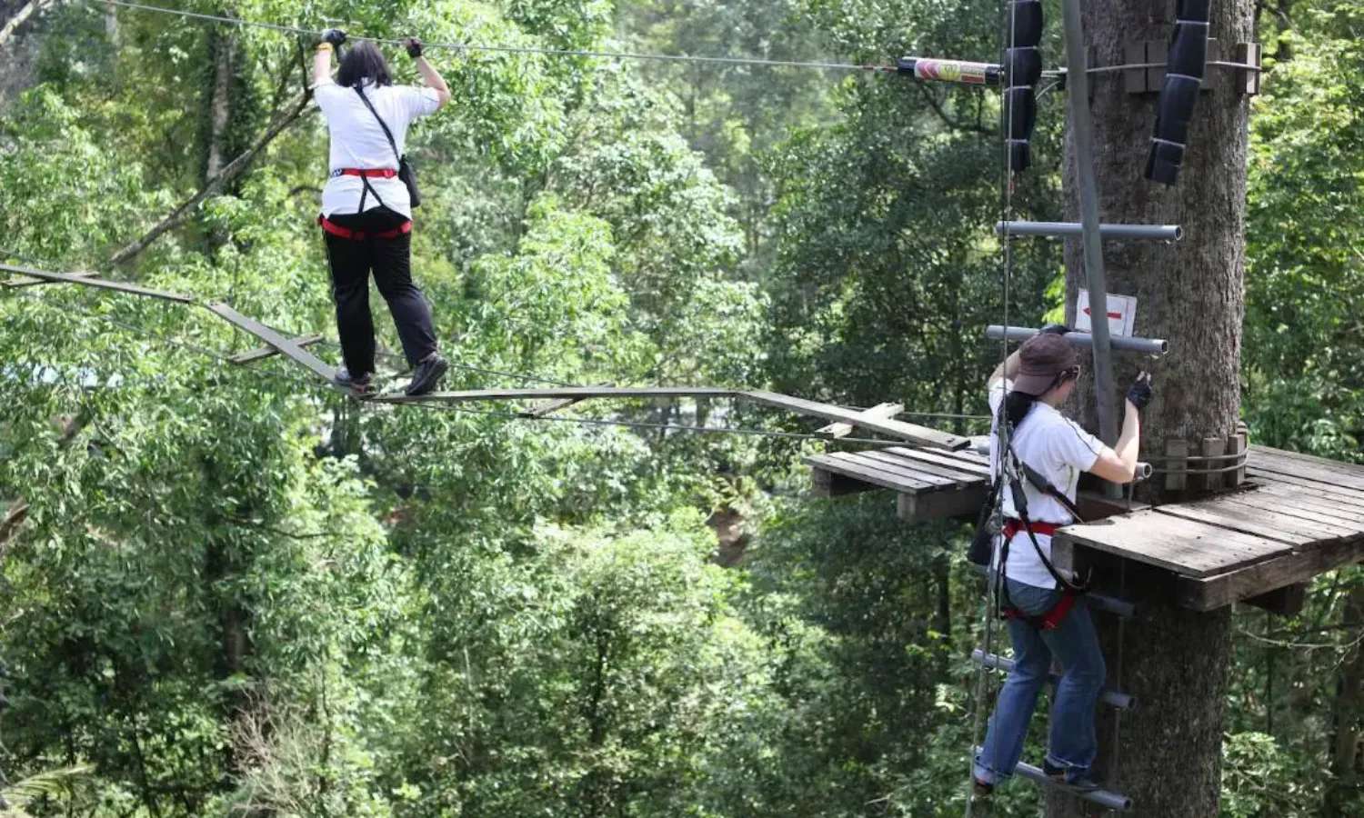 Skytrex Adventure Melaka