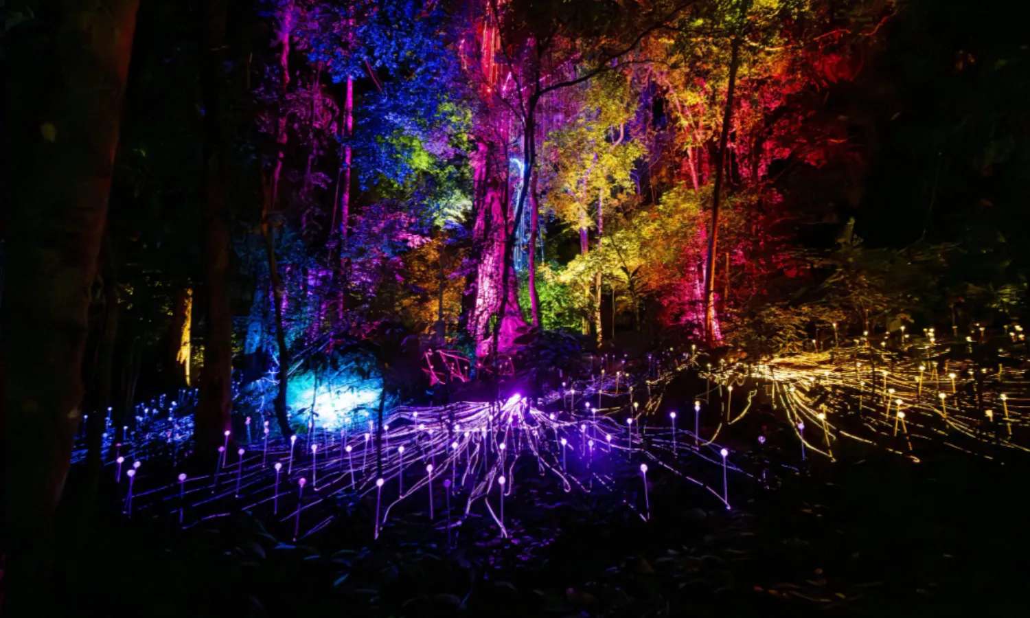 Dream Forest Langkawi