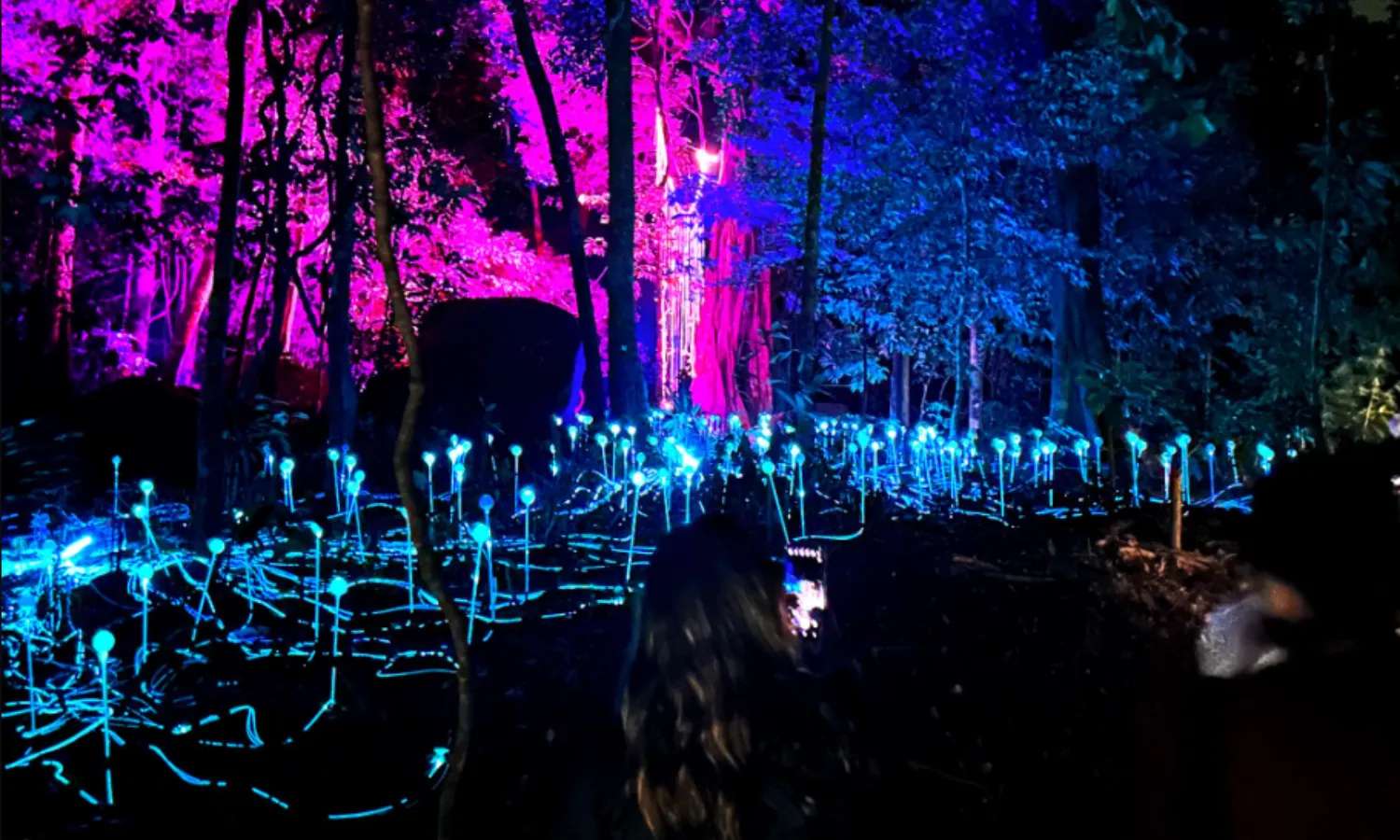 giá vé Dream Forest Langkawi