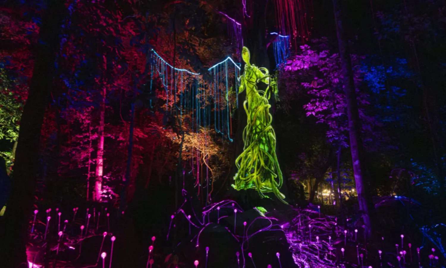 vui chơi Langkawi tại Dream Forest