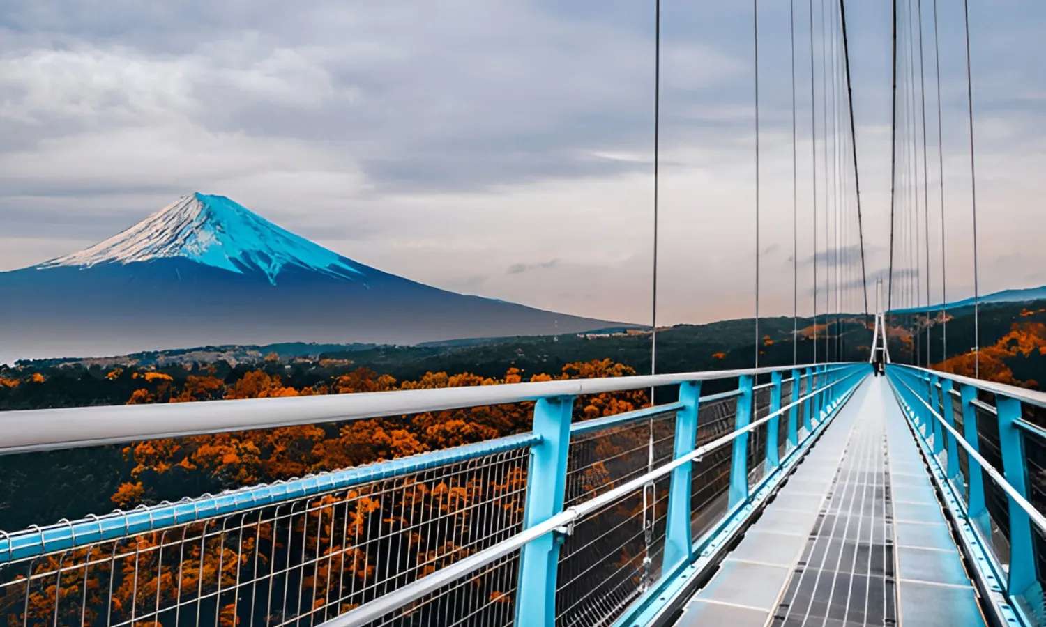Mishima SkyWalk