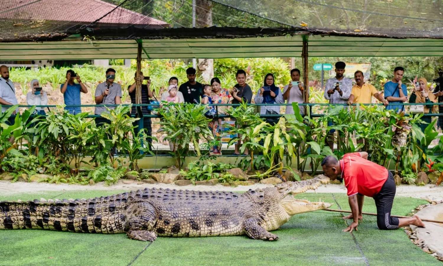 Điểm tham quan Crocodile Adventureland Langkawi