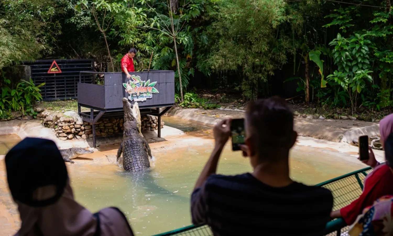 Buổi biểu diễn cá sấu đặc sắc tại Crocodile Adventureland Langkawi