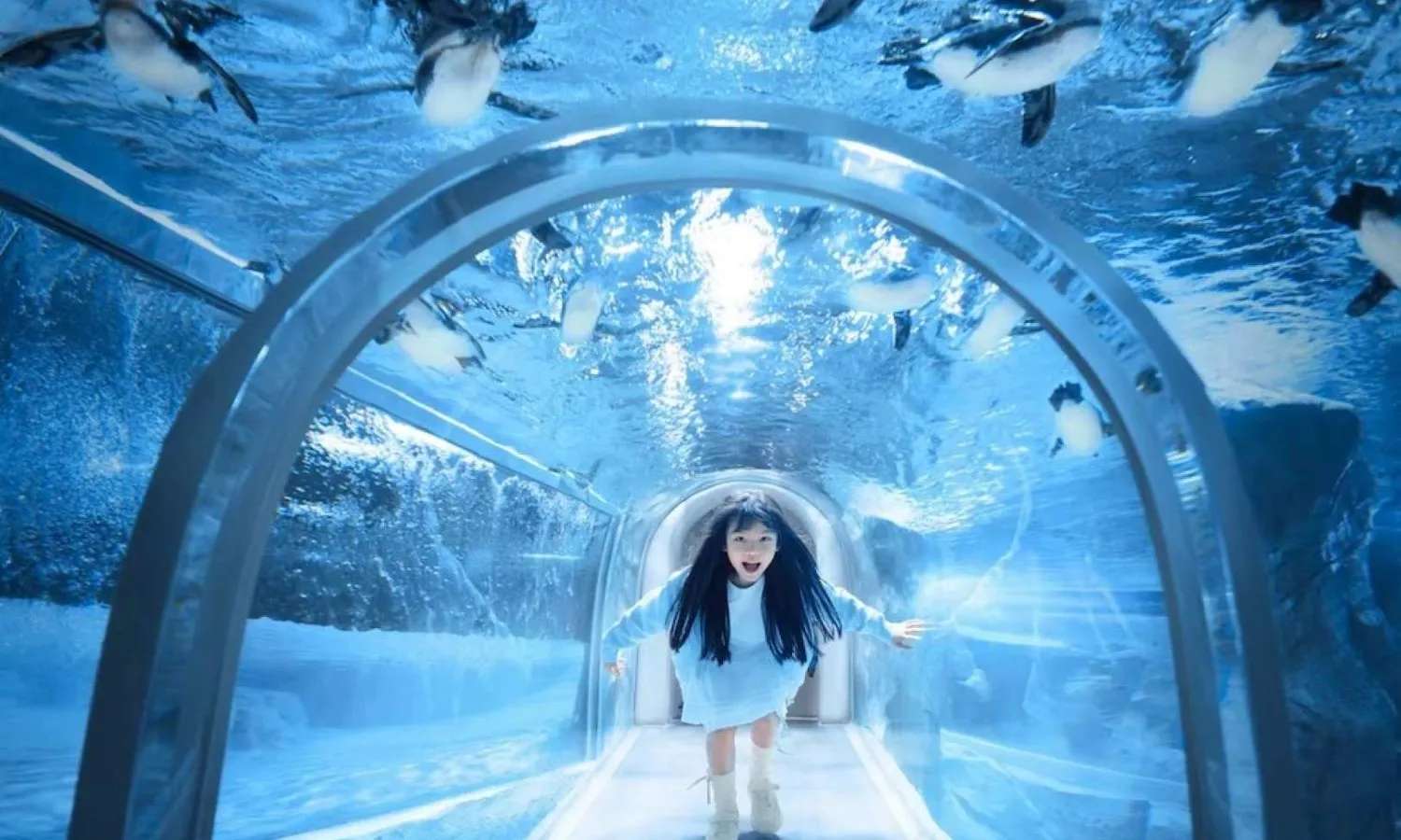 Shanghai Changfeng Ocean World