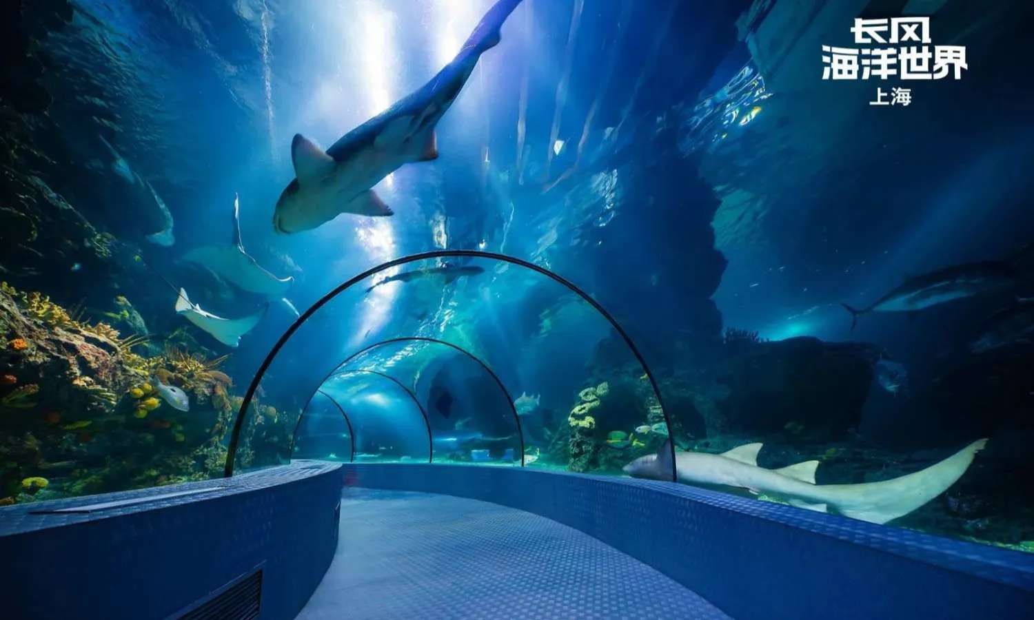 Changfeng Ocean World Thượng Hải