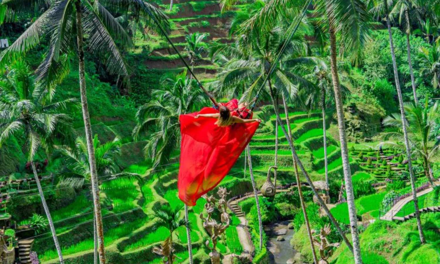 Khu vực xích đu Bali Swing