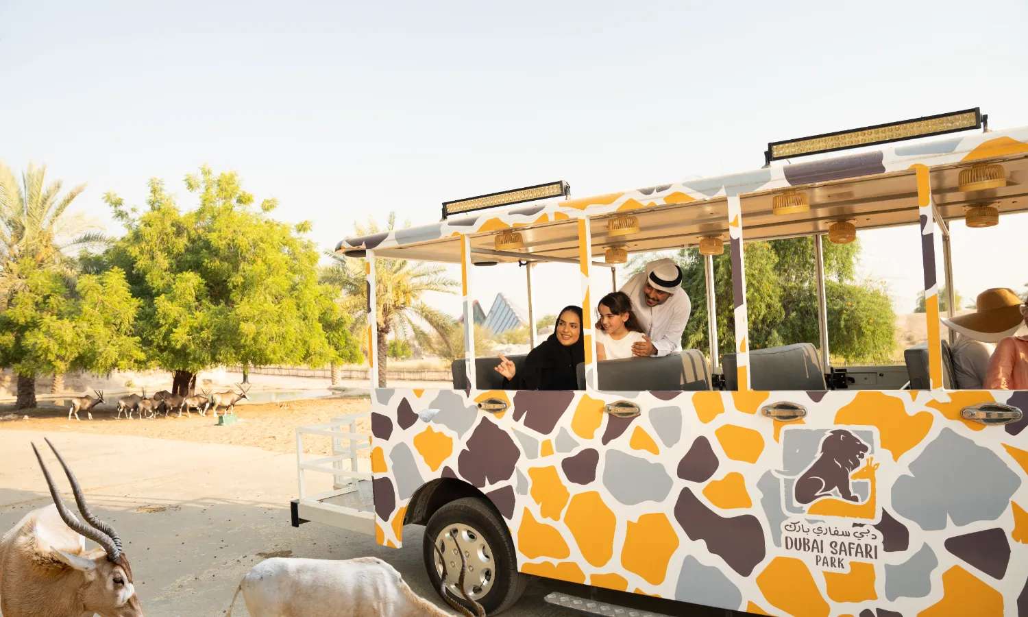 Arabian Desert Safari