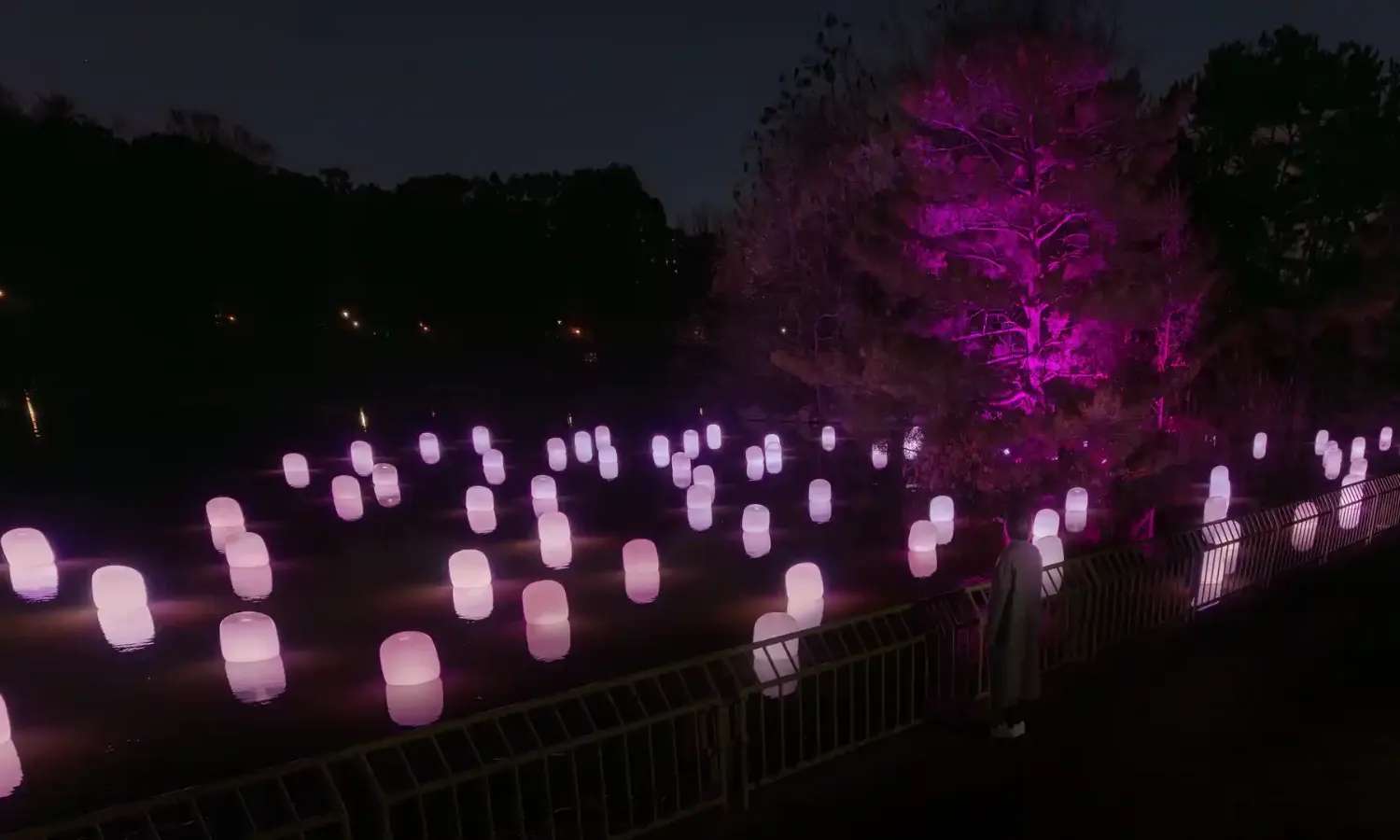 thế giới ánh sáng huyền ảo tại teamLab Botanical Garden Osaka.