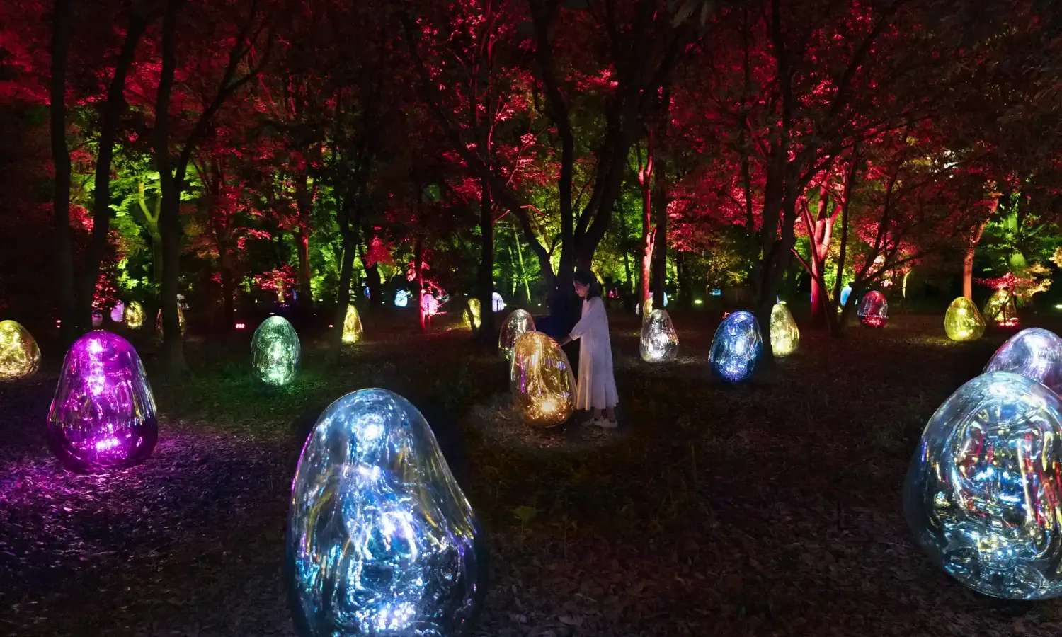 teamLab Botanical Garden Osaka