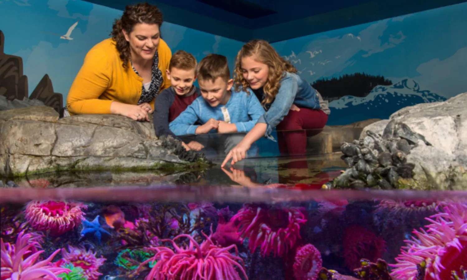quan sát các sinh vật dưới nước tại thủy cung SEA LIFE