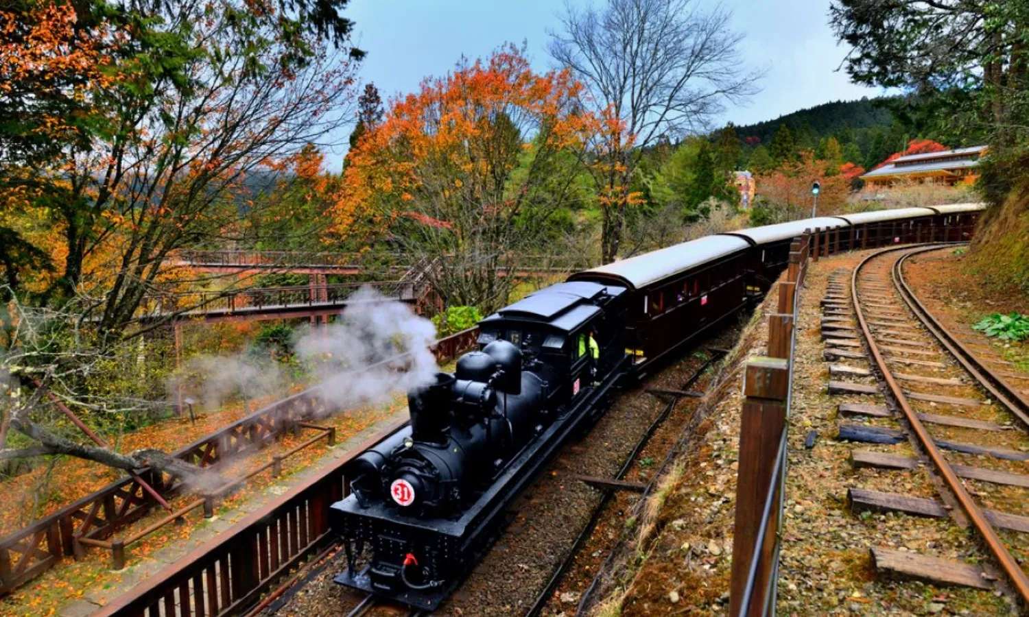 những tuyến đường sắt trên núi tại Alishan Forest Railway