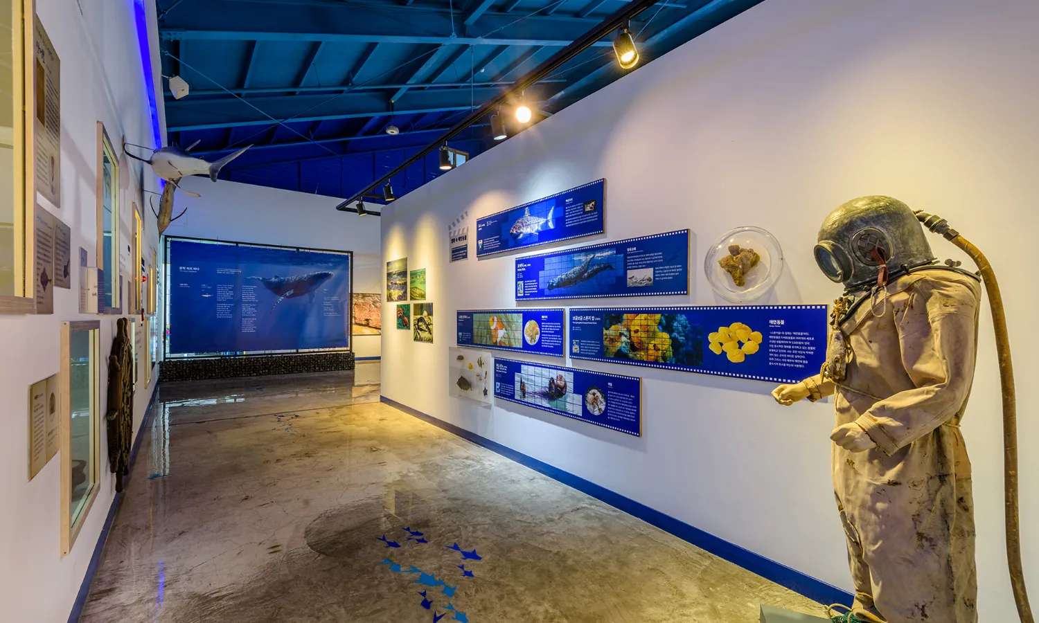 vé Bảo Tàng Động Vật Biển Jeju