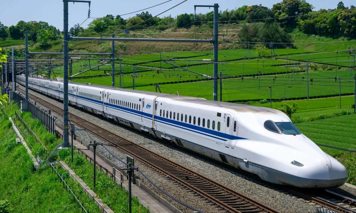 Tàu Shinkansen băng qua cánh đồng xanh